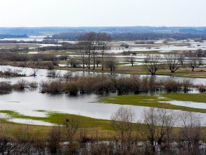 Podlachien